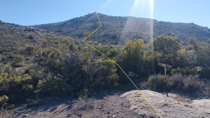 Santuario de la Naturaleza Cerro Poqui