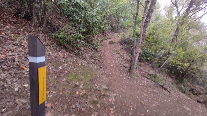Sendero en el bosqueFoto: 3El sendero se encuentra señalizado con estos postes.Dirección: NoresteJuan Pablo Cabbada Bergez