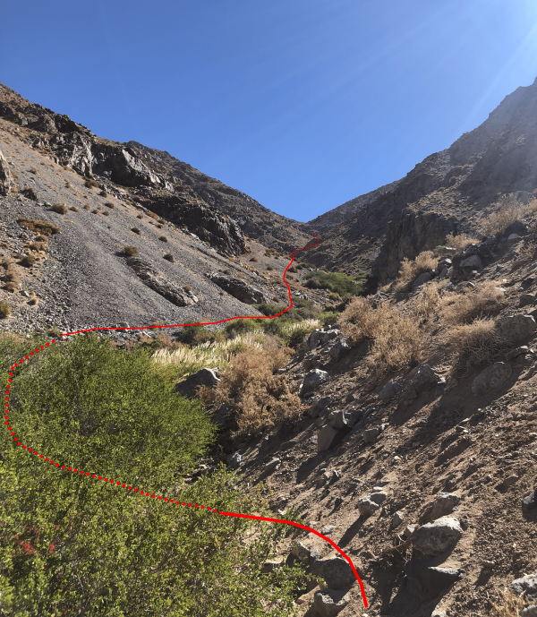 Aproximación Foto: 2inicio de la ruta donde hay que realizar los cruces de la quebrada poco visibles por el tamaño de las cortaderasGeraldine Jiménez Ponce