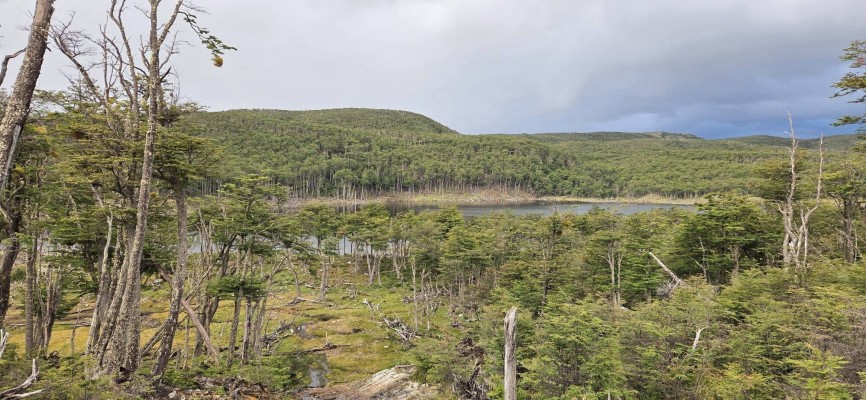 Laguna RepresaFoto: 17A lo lejos laguna RepresaRaúl Castro Hernádez