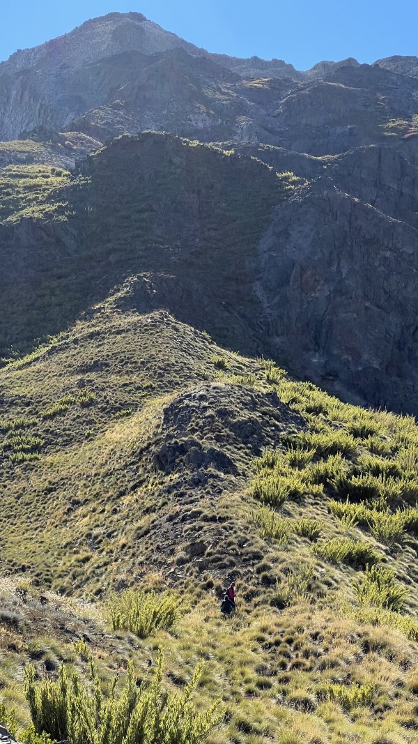 En ruta terminado el bosqueFoto: 3Dirección: EsteIgnacio Sepúlveda