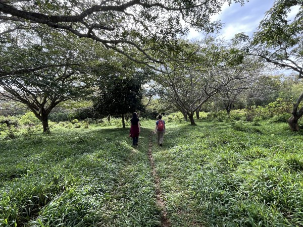 Bosque de arboles frutalesFoto: 3Dirección: SuroesteNicolás Berríos
