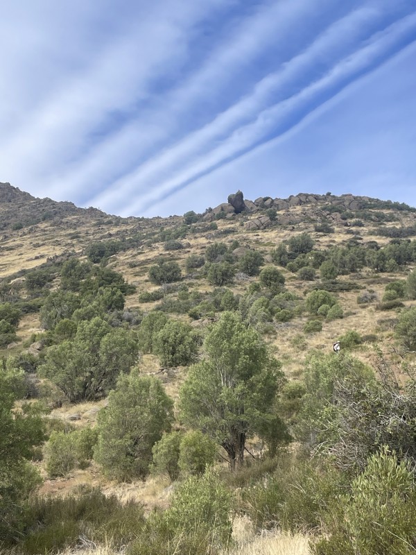 Vista a Piedra Rey LeónFoto: 6M. Paz Vargas