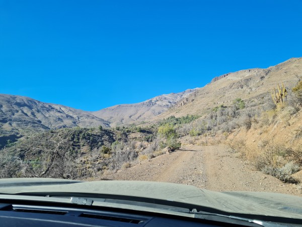 Camino de aproximación en vehículo Foto: 2Huella vehicular, si se realiza caminando se puede ir acortando por el lado izquierdo de esta huella, para así evitar los constantes zigzag de la ruta Dirección: SuresteSimón Olfos