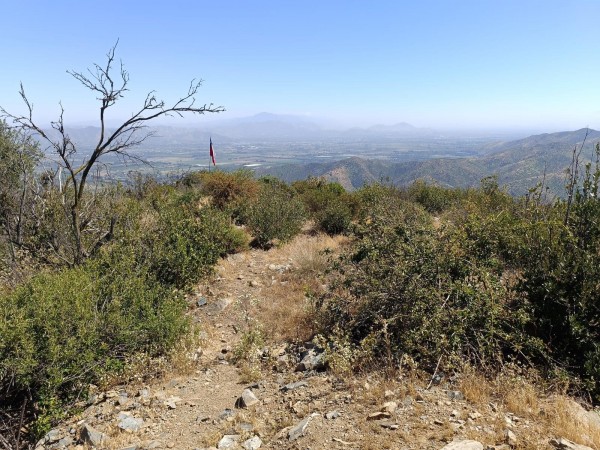 Vista desde la cumbre hacia el último tramo de la rutaFoto: 4A lo lejos se ve el árbol con la bandera.Nicolás Berríos