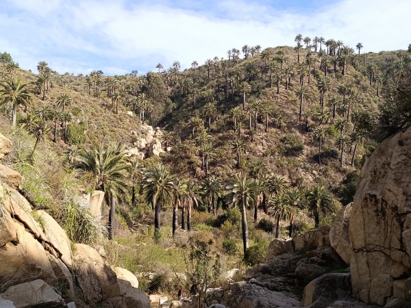 Quebrada El Quiteño