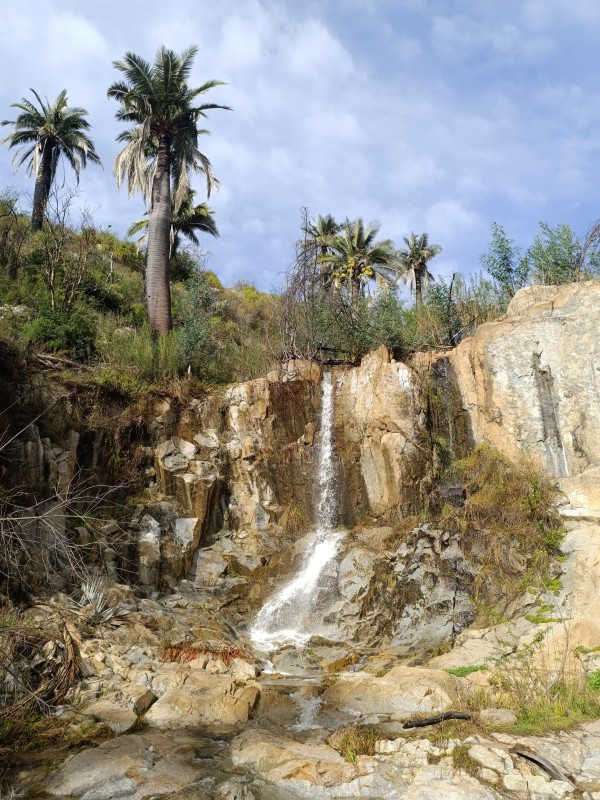 Primer salto de aguaFoto: 4Para acceder a él es necesario desviarse de la ruta principal Dirección: SurNicolás Berríos