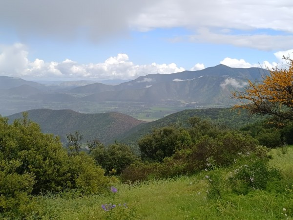 Vista desde la cumbreFoto: 5Se aprecia parte del bosque y el cerro Yerbas BuenasDirección: SurNicolás Berríos