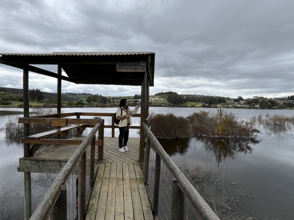 Mirador los QueltehuesFoto: 3Dirección: EsteNicolás Berríos