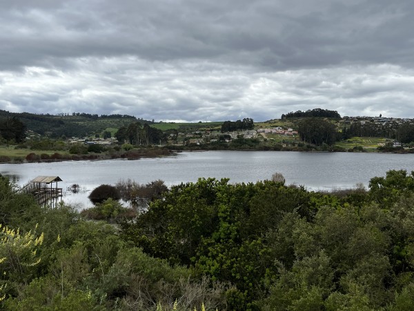 Laguna el PeralFoto: 6Vista desde sendero Las DunasDirección: EsteNicolás Berríos