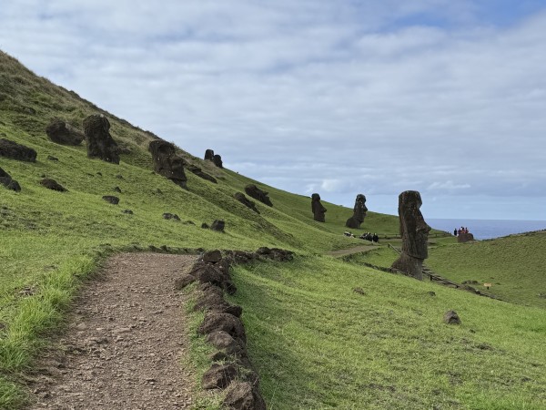 Sendero hacia la canteraFoto: 1A lo lejos se distingue el moai Piro PiroDirección: SuresteNicolás Berríos