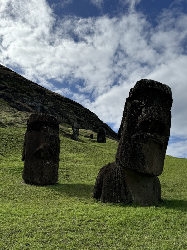Moai Hina Riru a orillas del senderoFoto: 2Dirección: EsteNicolás Berríos