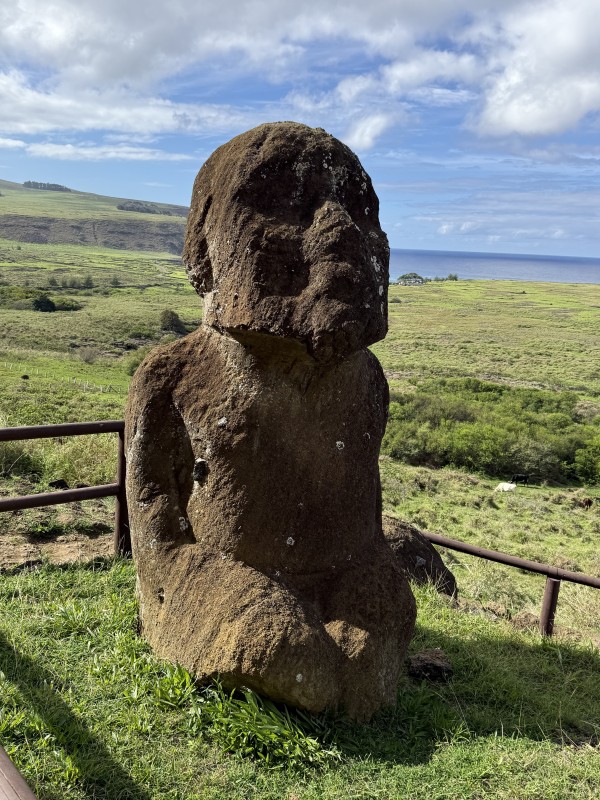 Moai TukuturiFoto: 5Punto final del sendero antes de empezar el retornoDirección: SuresteNicolás Berríos