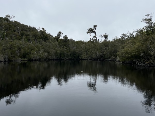 Laguna CuncoFoto: 5Dirección: OesteNicolás Berríos