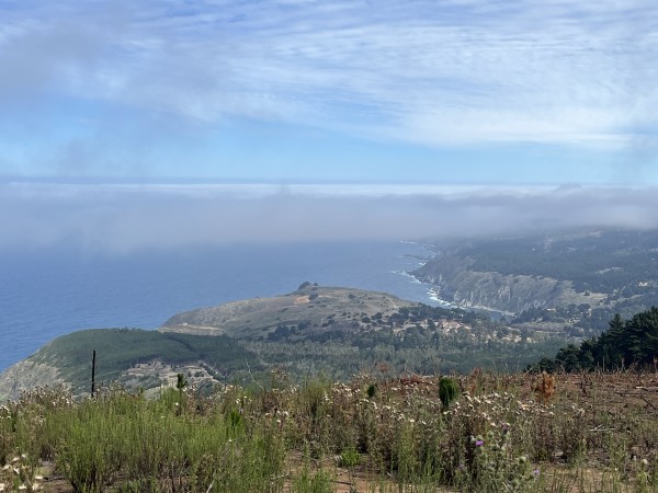 Vista desde el senderoFoto: 2Dirección: NoroesteNicolás Berríos