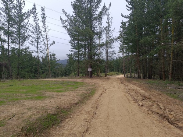 Bifurcación a Senda del AguaFoto: 4Dirección: NorteNicolás Berríos