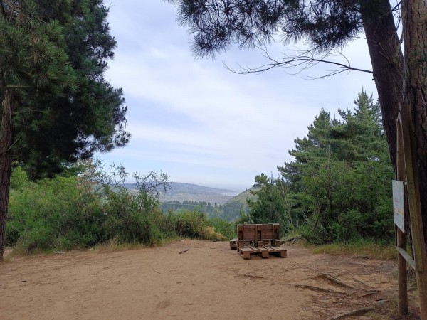 Mirador Zorro CulpeoFoto: 3Dirección: OesteNicolás Berríos