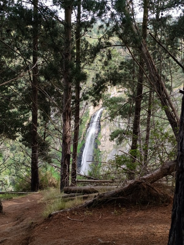Primeras vistas al saltoFoto: 5Dirección: NorteNicolás Berríos