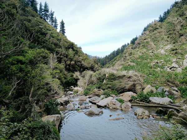 Estero el SauceFoto: 11Dirección: SurNicolás Berríos