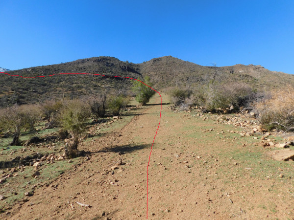 Camino junto a bosque de espinosFoto: 2Dirección: SurÁlvaro Vivanco