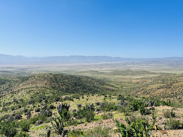 Vista desde mirador hacia Llanos de ChalleFoto: 10Dirección: EsteNicolás Berríos