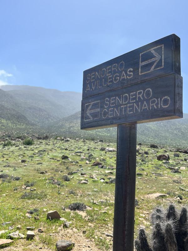 Letrero con bifurcaciónFoto: 6Dirección: EsteNicolás Berríos