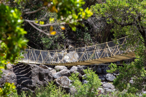 Puente colganteFoto: 6Dirección: NoroesteParque Natural Tricahue