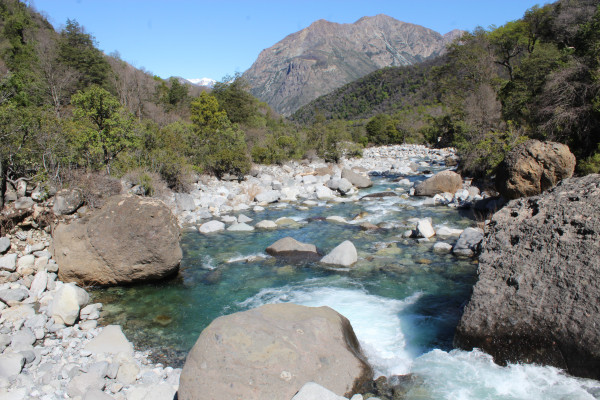 PozónFoto: 5Dirección: NorteParque Natural Tricahue