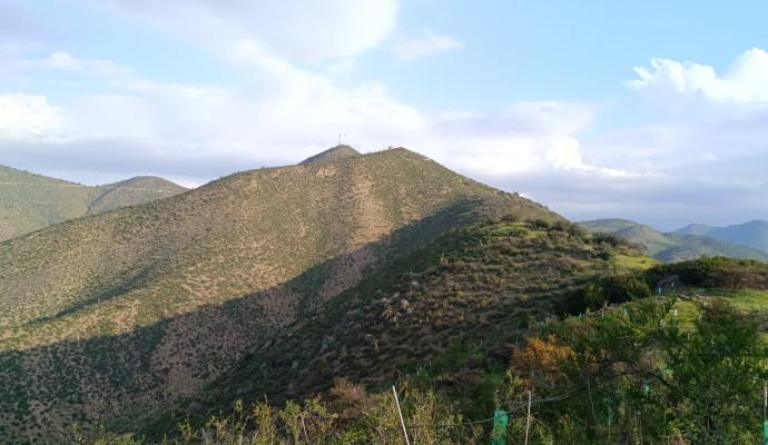 Calera