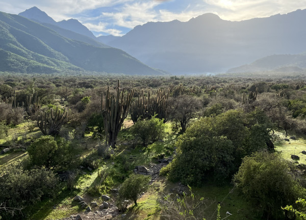 El GarretónFoto: 1Al fondo se aprecia el ingreso a la quebrada y la Cordillera del Melón.Dirección: EsteNicolás Berríos