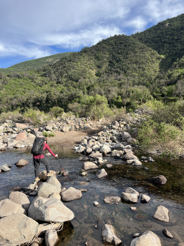 Cruzando el esteroFoto: 4Dirección: NorteNicolás Berríos