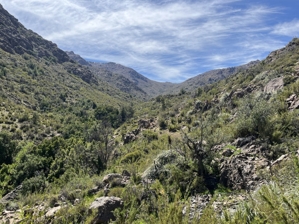 Sendero a las bañaderasFoto: 13Dirección: NoresteNicolás Berríos