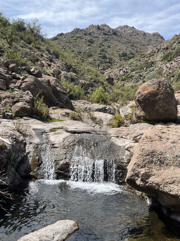 Bañaderas del MaquiFoto: 15Dirección: NoresteNicolás Berríos