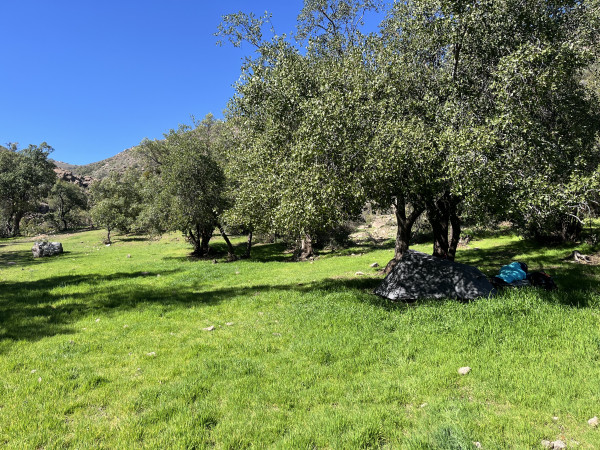 Área de campamento Bañaderas del MaquiFoto: 14Dirección: SuresteNicolás Berríos