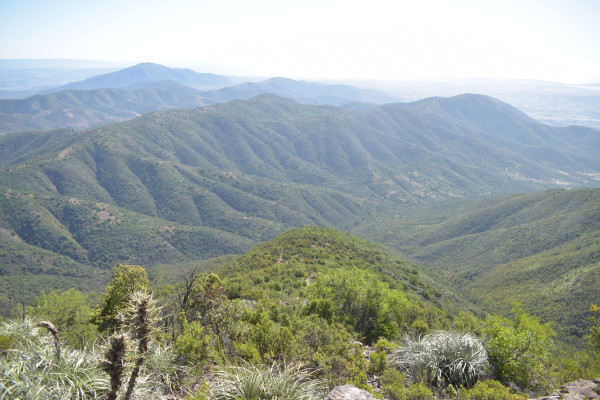 Estero San Pancracio Foto: 9Dirección: OesteSimón Olfos