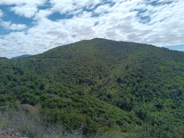 Las Minas