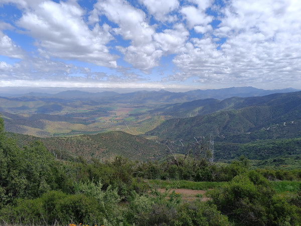 Valle de CuracavíFoto: 12Dirección: OesteNicolás Berríos