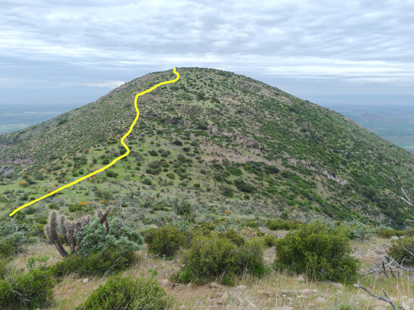 Ruta a la cumbreFoto: 5Dirección: EsteNicolás Berríos