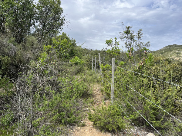 Ruta jnto al cercoFoto: 2Dirección: EsteNicolás Berríos