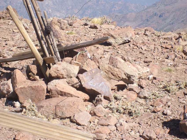 Compañera de Cumbre