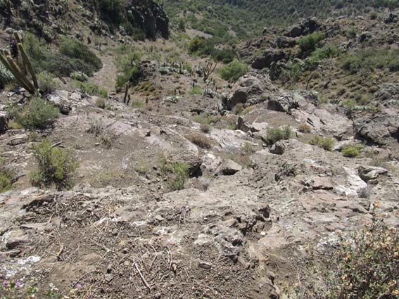 Escarpada Ladera Oeste