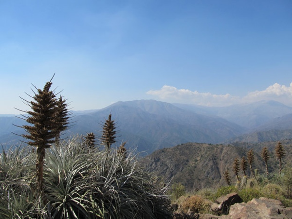 Carpa desde el Pochocón