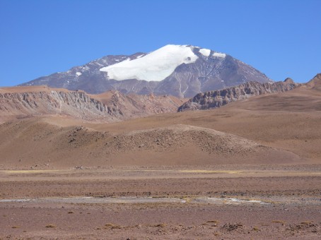 Cara Este Las Tortolas