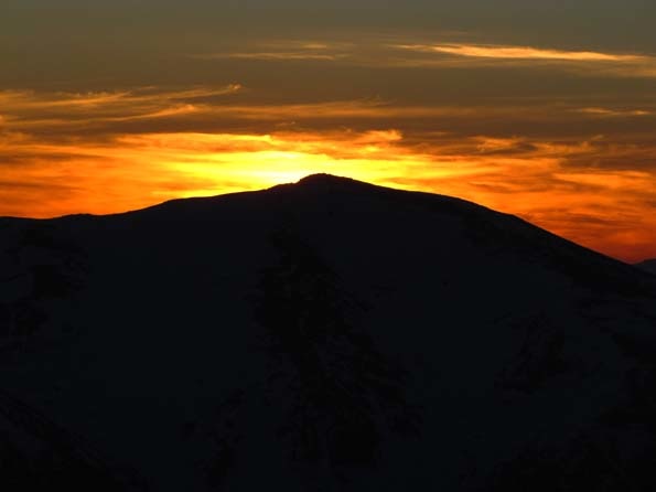 Cortadera al atardecer