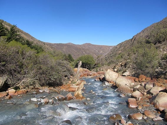 Estero de la Yerba Loca