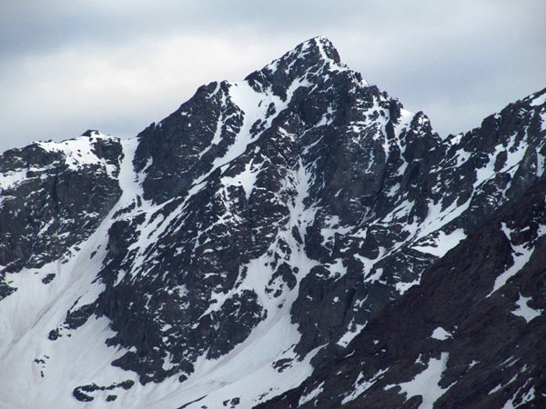 Pico Negro