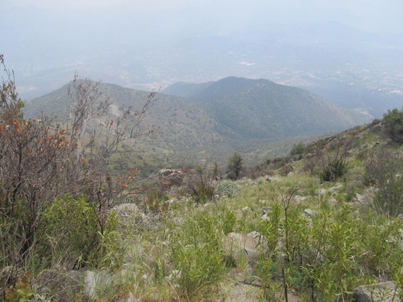 Cara Oeste en Primavera