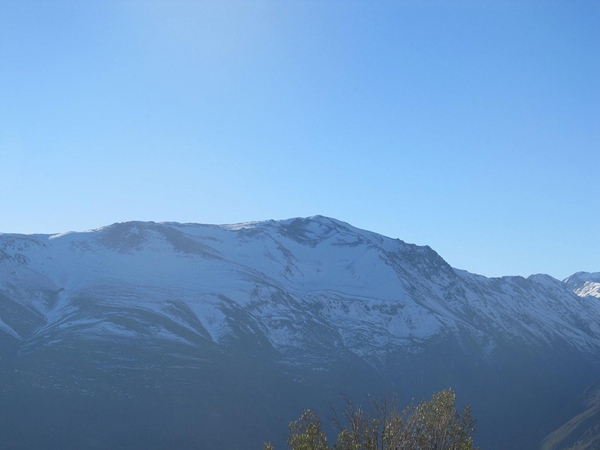 Cortadera desde cumbre Co. del Medio