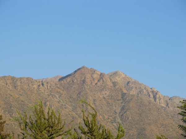 Cerro La Cruz Estival