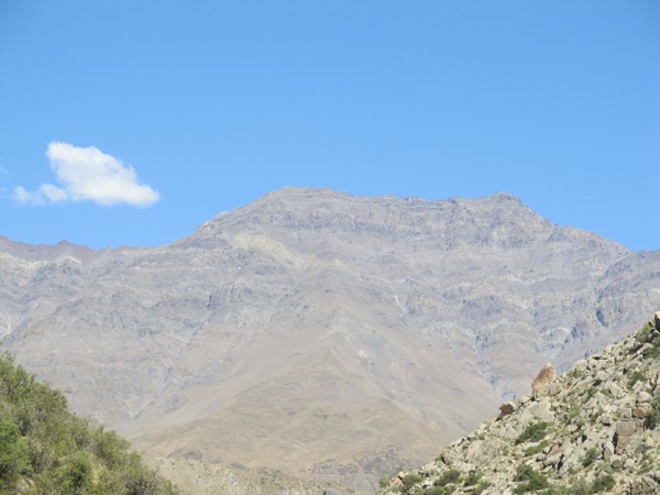 Palo Plantado Estival - Cara Oeste